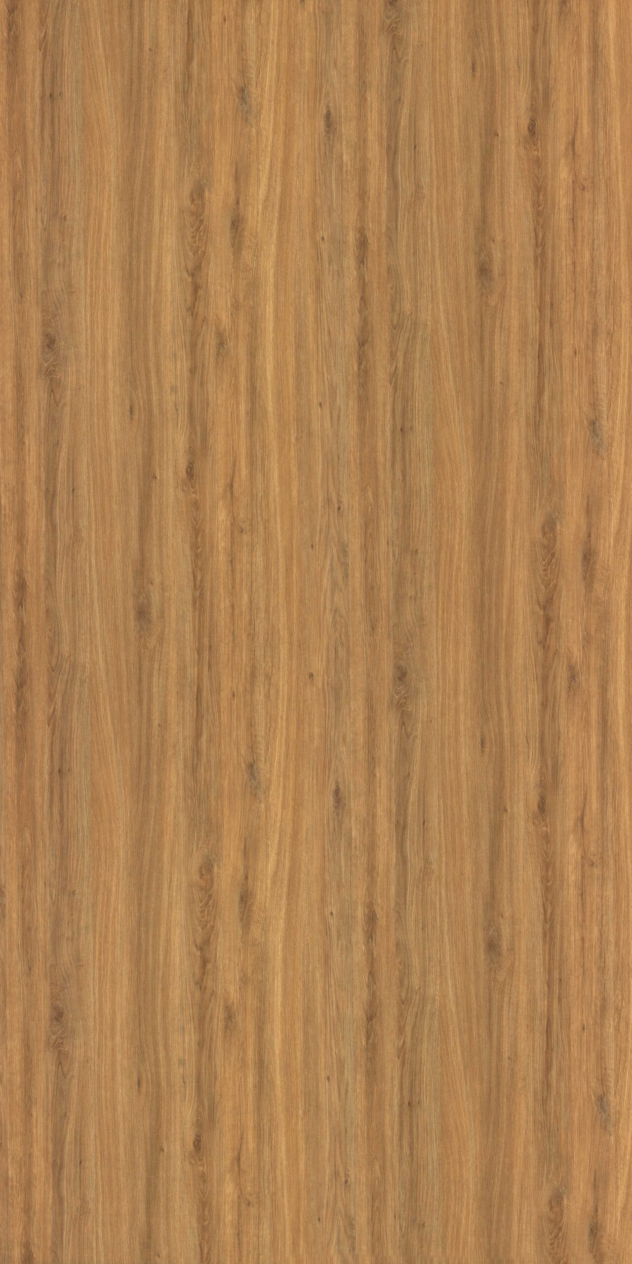 wood-grains-door-laminate-4116-welmica-scaled-1.jpg