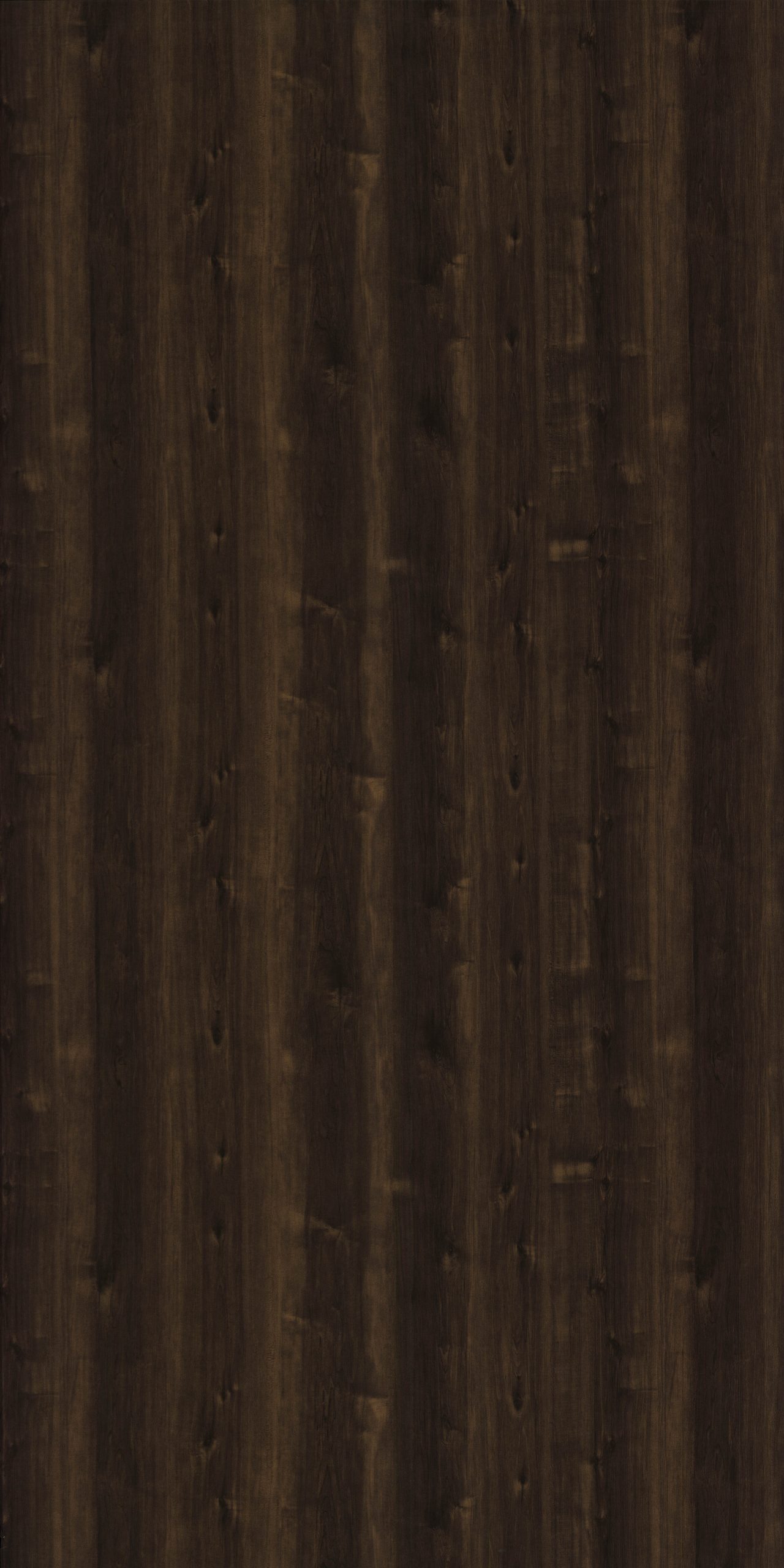 wood-grains-door-laminate.2443-welmica-scaled-1.jpg
