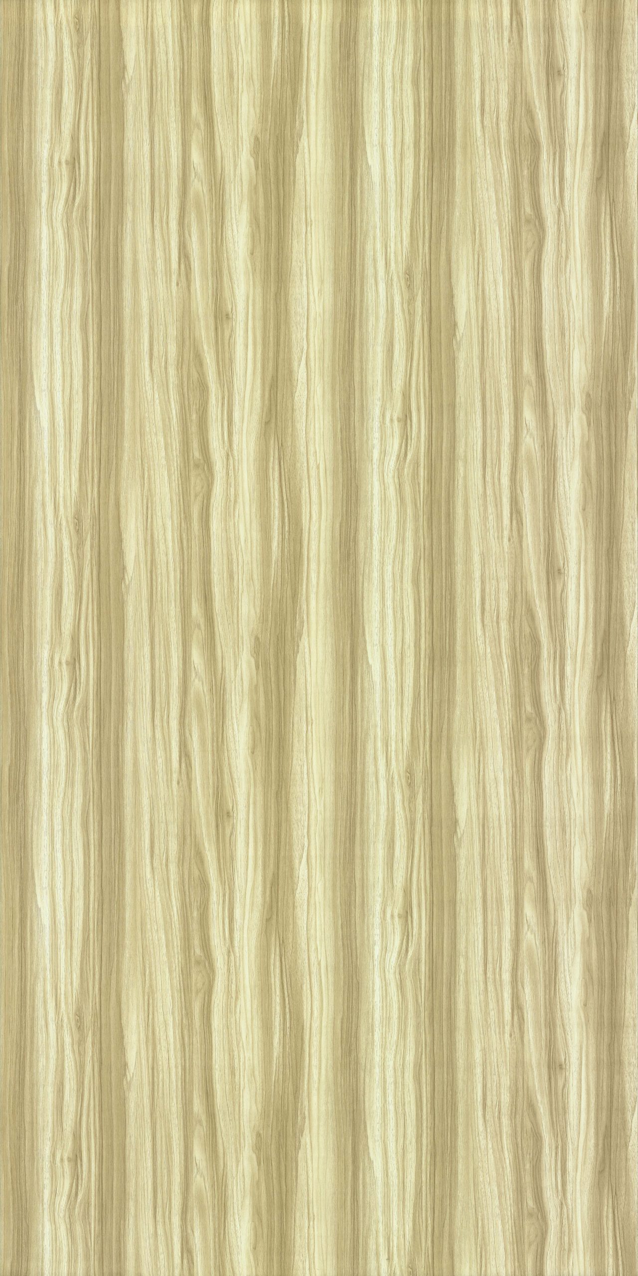 wood-grains-door-laminate.2444-welmica-scaled-1.jpg