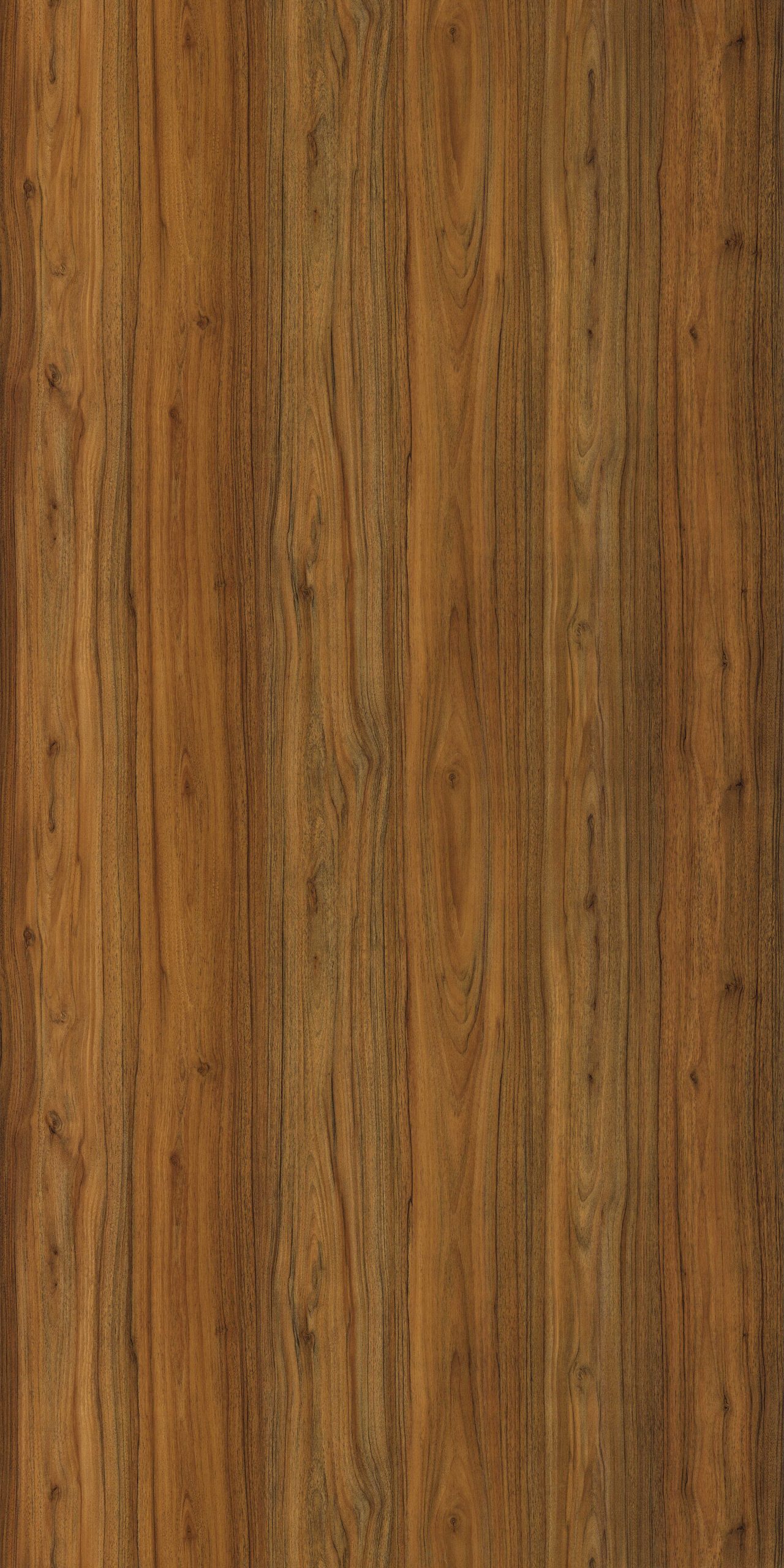 wood-grains-door-laminate.2454-welmica-scaled-1.jpg