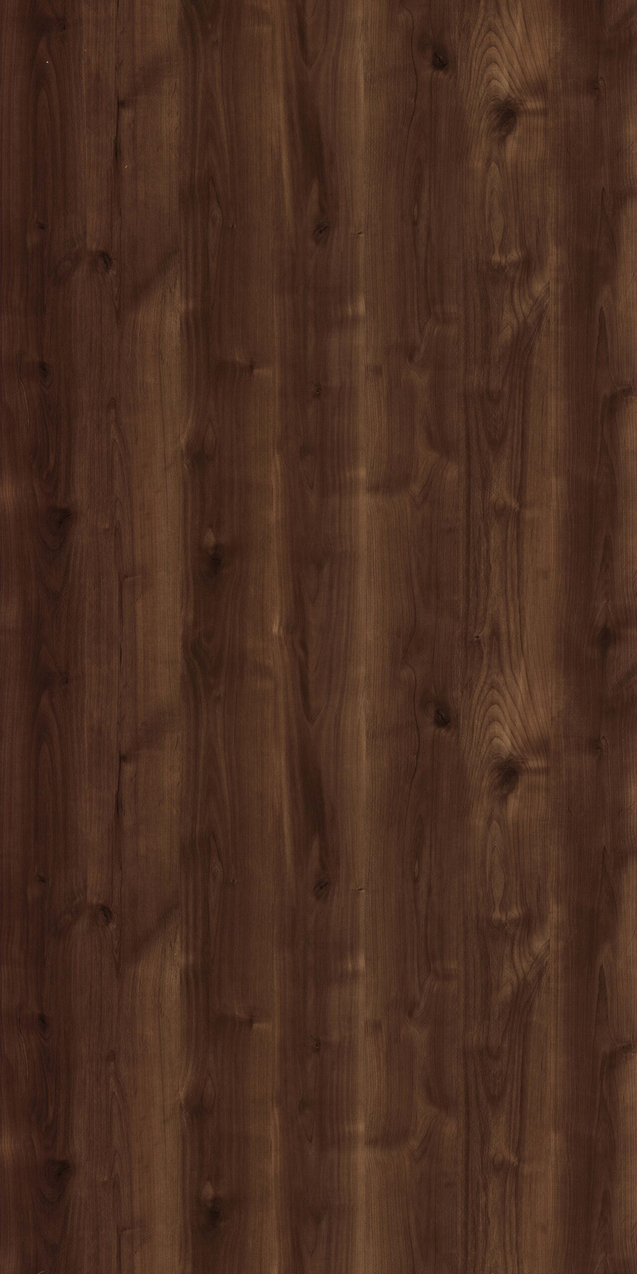 wood-grains-laminate-design-3101-welmica-scaled-1.jpg