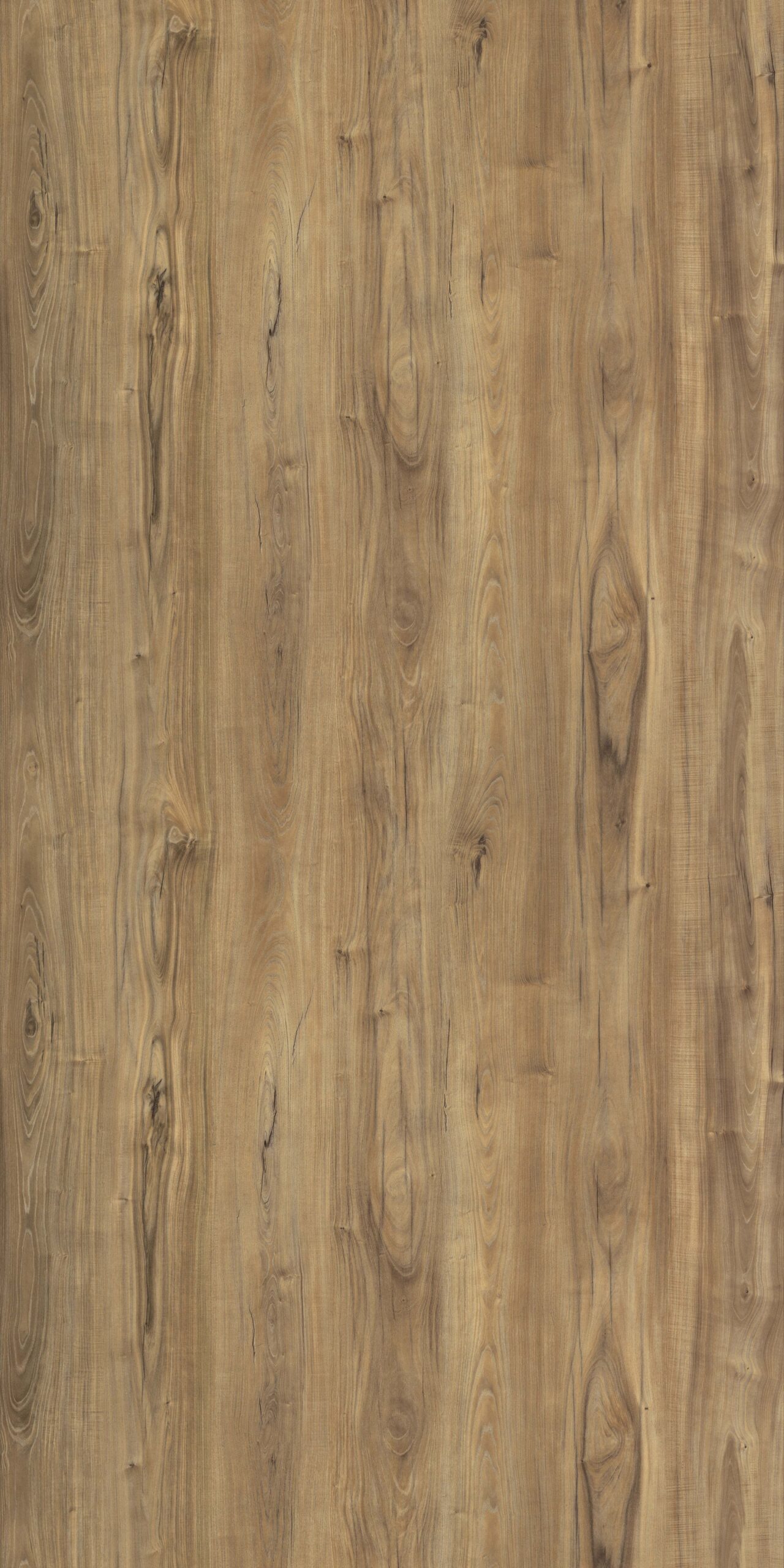 wood-grains-laminate-design-3119-welmica-scaled-1.jpg
